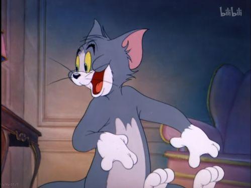 爆料猫玩老鼠视频下载,下载背后的趣味与争议 第3张 爆料猫玩老鼠视频下载,下载背后的趣味与争议 第3张