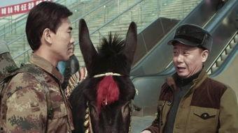 人在驴途在线观看,一场别开生面的在线观影之旅 第2张 人在驴途在线观看,一场别开生面的在线观影之旅 第2张